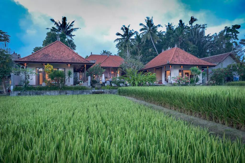 Villa Heron Ubud Kültér fotó